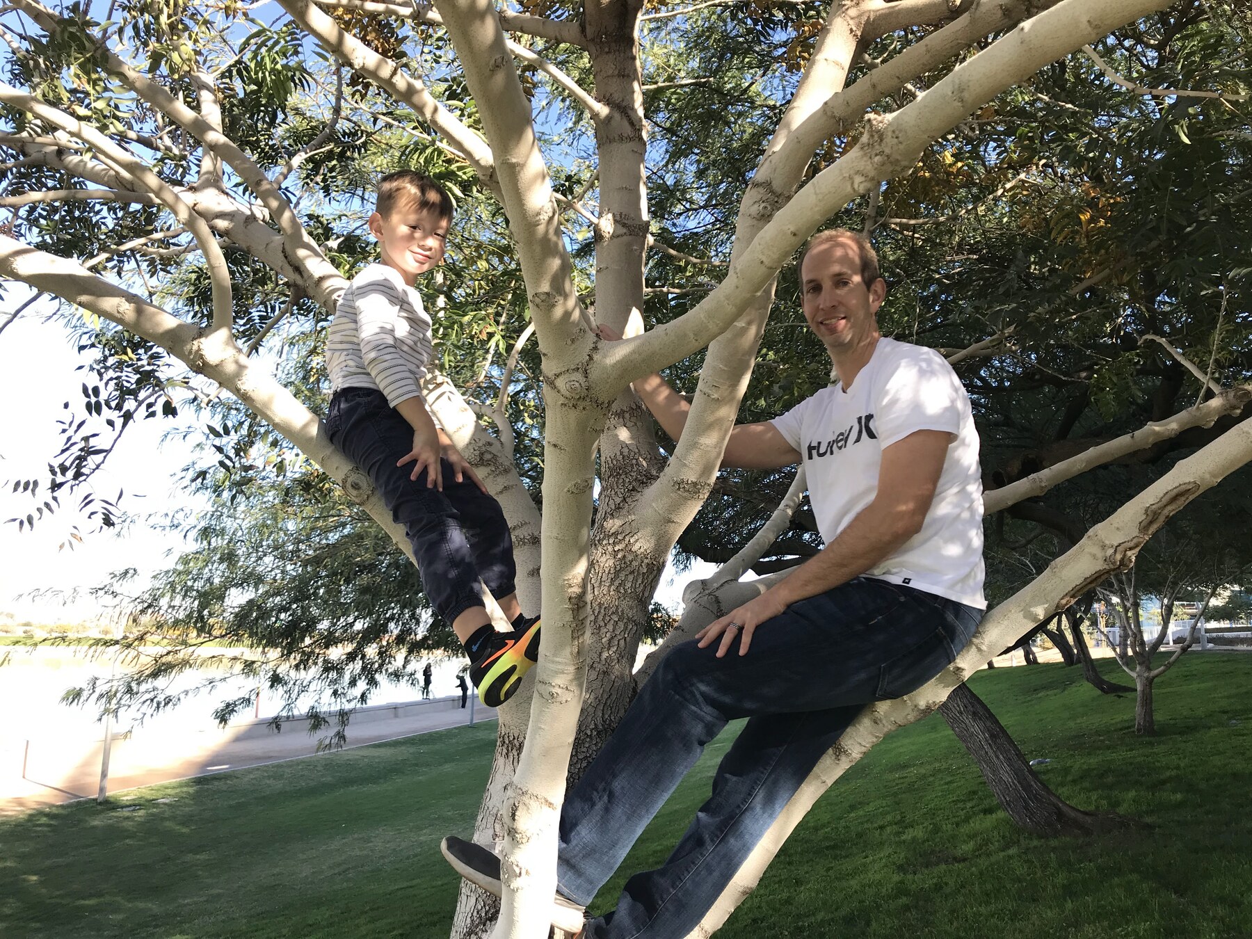Doug and son in a tree at a park along the Rio Salado pathway