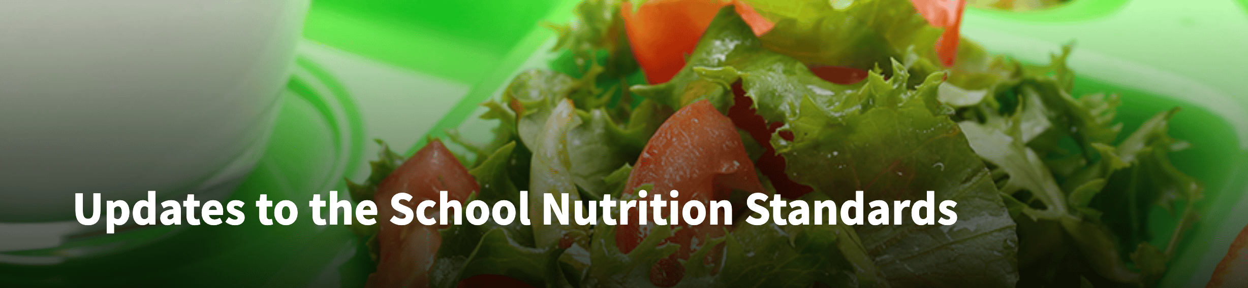 A close-up of a fresh salad in a school cafeteria container, with the overlay text 'Updates to the School Nutrition Standards'.